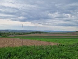 b_1024_768_0_00_images_2022_2023_SKKT_PTTK_rajd_maj_344843915_932628844634290_4113811449925131841_n